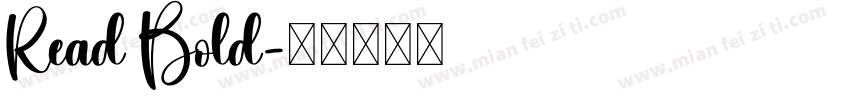 Read Bold字体转换